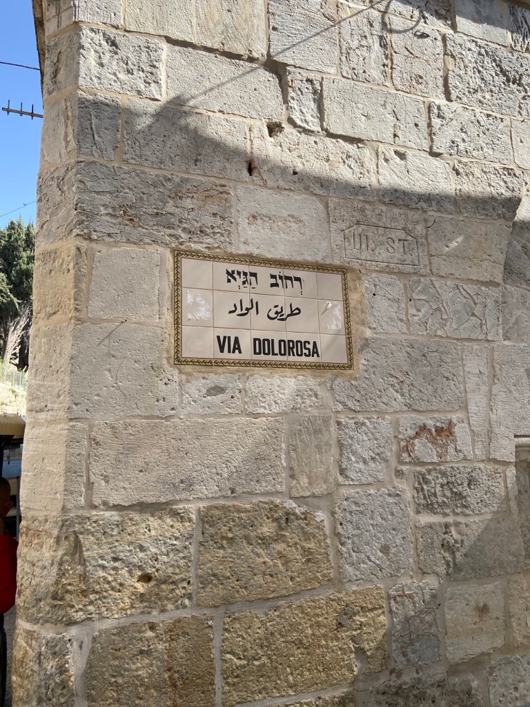 Imaginea actuală nu are un text alternativ. Numele fișierului este: img_6902-1.jpg