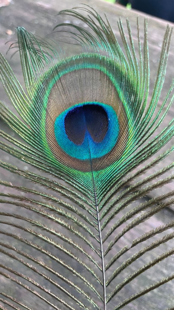 Imaginea actuală nu are un text alternativ. Numele fișierului este: img_5687.jpg