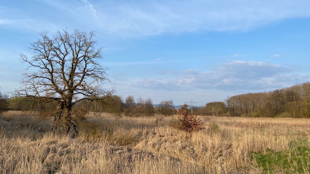 Imaginea actuală nu are un text alternativ. Numele fișierului este: img_8307.jpg